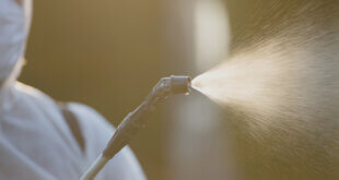 Servicii de Decontaminare Brasov