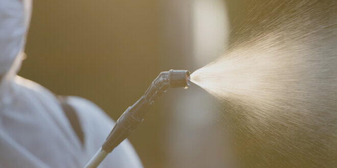 Servicii de Decontaminare Brasov